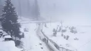 Kashmir's Winter Tourism Faces Snow Drought, Gulmarg Hotels Empty in December