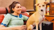 Kolkata TV actors assaulted for feeding stray dogs, actor feared second stroke