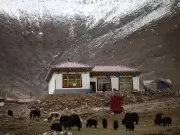 Magnitude 4.1 Earthquake Strikes Tibet Region, No Damage Reported