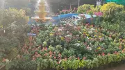 Mangaluru's Kadri Park to Host Grand Flower Show from January 23