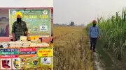 Mansa Farmer's Stubble Success: 20% Higher Income & Chemical-Free Fields