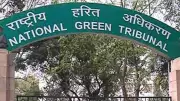 NGT Orders HP Pollution Board to File Report on Environmental Compensation