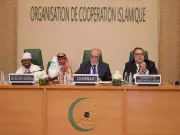 OIC Slams Israel's Somaliland Recognition as Blatant International Law Violation