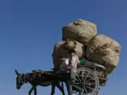 Pakistan's Frozen Trade with Afghanistan Costs Economy $1 Million Daily