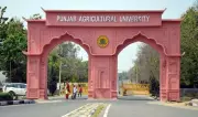 PAU Leads India with 21 PMRF Fellows, Tops Agricultural Research List