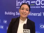 Policy Reforms Can Unlock India's $30 Billion Critical Minerals Sector, Says Expert