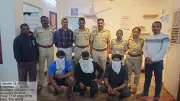 Pune Forest Dept Seizes 6 Protected Parakeets, Arrests 3 in Tingre Nagar Raid