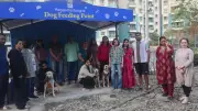 Pune Society's Dog Feeding Zone: A Simple Fix for Urban Stray Conflict