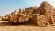 Punjab Farmers Face Straw Bale Crisis: Wheat Sowing at Risk as Collection Delays Mount