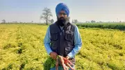 Punjab's Progressive Farmer Earns Millions Year-Round by Ditching Paddy-Wheat Cycle