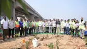 REPL Plants 14,000 Saplings Using Miyawaki Method Along NH-40 for Sustainable Highways