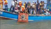 Rescued Olive Ridley Turtle Returns to Sea After 3 Months of Treatment