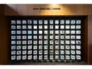 Shapoorji Pallonji Real Estate Unveils Stunning Flora-Fauna Mural at Vanaha Pune | Blending Urban Living with Nature