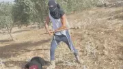 Shocking Footage: US Journalist Films Israeli Settler's Violent Attack on Palestinian Woman in West Bank