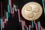 Solana & XRP Tumble as DigiTAP Raises $1M+ in Presale: Is This the New Safe Haven Crypto?