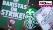 Starbucks Workers Strike in US: Red Cup Day Protests Explained