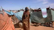 Sudan Crisis 2025: 30 Million Face Famine as Aid Agencies Sound Alarm