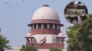 Supreme Court: Streets Must Be Free of Stray Dogs, No One Can Read a Dog's Mind
