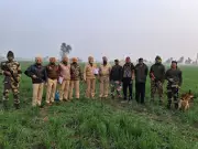 Tarn Taran Drug Bust: Police Seize 500 Grams of Heroin, Arrest One