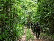 Thailand-Cambodia Border Clash: Troops Exchange Gunfire, Tensions Rise