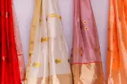 The Sari's Journey: More Than Fabric, It's a Tapestry of Life