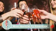Think Weekly Drinking is Harmless? What Alcohol Really Does to Your Body