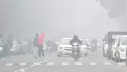 Tricity Shivers as Fog Plunges Day Temperatures by 5-6°C