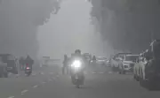 Tricity Shivers Under Severe Cold Wave, IMD Issues Red Alert for Dense Fog