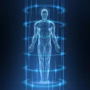 Vestigial Organs: 5 Evolutionary Leftovers in Human Body