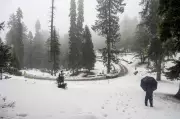 Winter Wonderland Returns! Gulmarg & Sonmarg Blanketed in Fresh Snowfall | Kashmir Tourism Boost