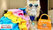 Yearender 2025: How Pet Influencers Captured India's Heart & Social Media