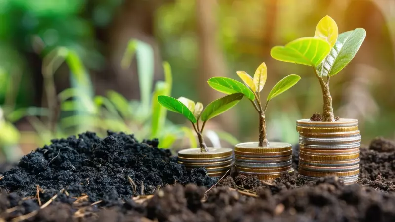 5 Common SIP Mistakes That Are Secretly Draining Your Investment Returns | Mint