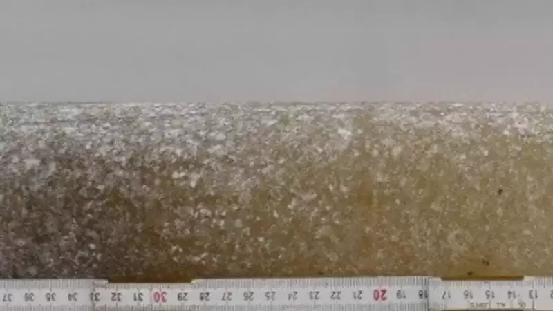 6 Million-Year-Old Antarctic Ice Reveals Earth's Ancient Climate Secrets - Dire Warning for Tomorrow