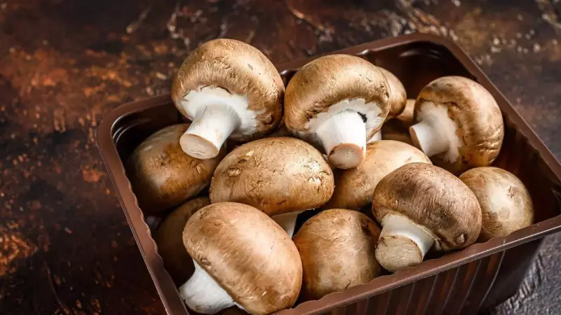 7 Incredible Indian Mushrooms & Their Amazing Health Benefits You Need to Know
