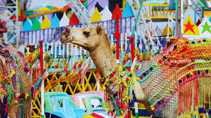 7 Magical Reasons Pushkar Camel Fair Should Be Your Next Spiritual Adventure