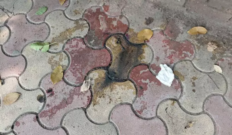 Acid Attack Horror Near Delhi University: DU Student Targeted Outside Laxmibai College, Police Hunt for Culprits