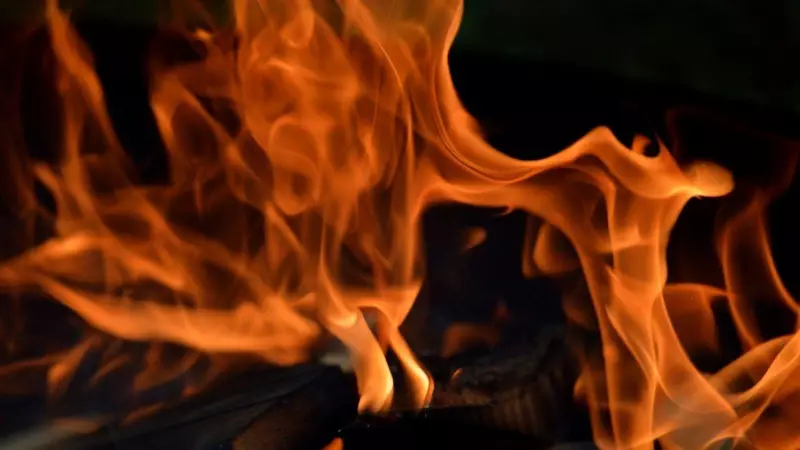 Air India Staff Bus Catches Fire at Delhi Airport T3, All Passengers Evacuated Safely