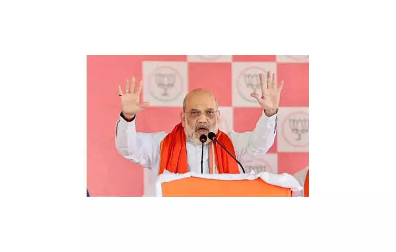 Amit Shah Declares: '100 Shahabuddins Can't Scare Bihar Now' in Fiery Siwan Rally