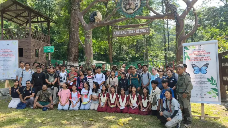 Arunachal Pradesh's Butterfly Bonanza: 235 Species Recorded, 35 Are Rare Gems