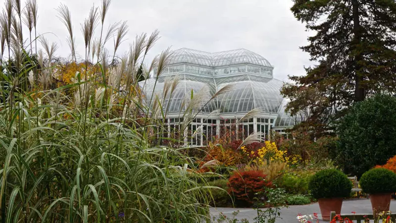 Bezos Earth Fund's Bold Vision: How AI Could Rescue Our Planet from Climate Crisis