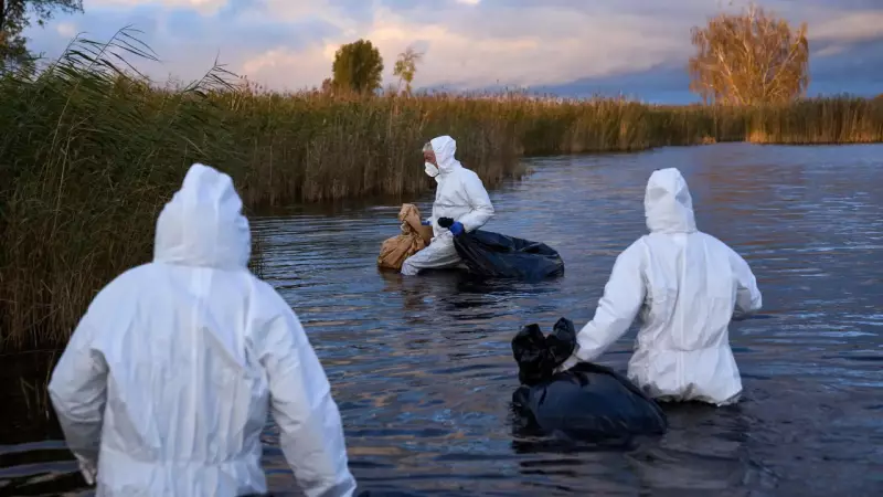 Bird Flu Alert: Virus Spreads Across Europe and US, Raising Global Health Concerns