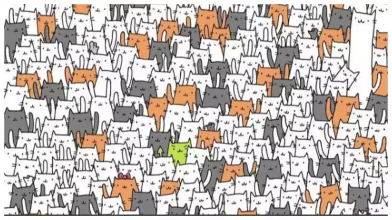 Can You Spot the Hidden Bunny? This Viral Cat Illusion Will Test Your Observation Skills!