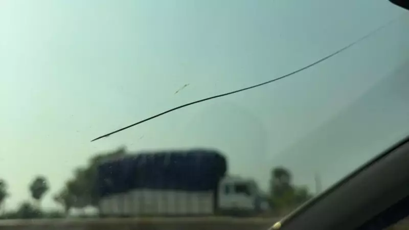 Cracked Windshield? Top 5 Expert Tips to Protect Your Car & Save Money