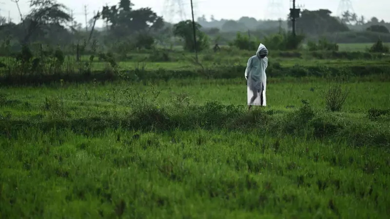 Cyclone Alert: Chennai Braces for Heavy Rains, Schools Declare Holiday | IMD Forecast