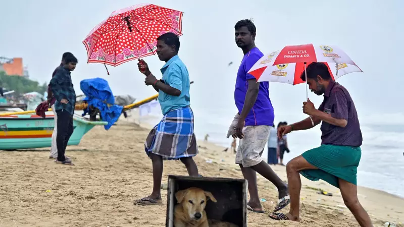 Cyclone Mocha Intensifies: IMD Issues High Alert for Andhra and Odisha Coasts