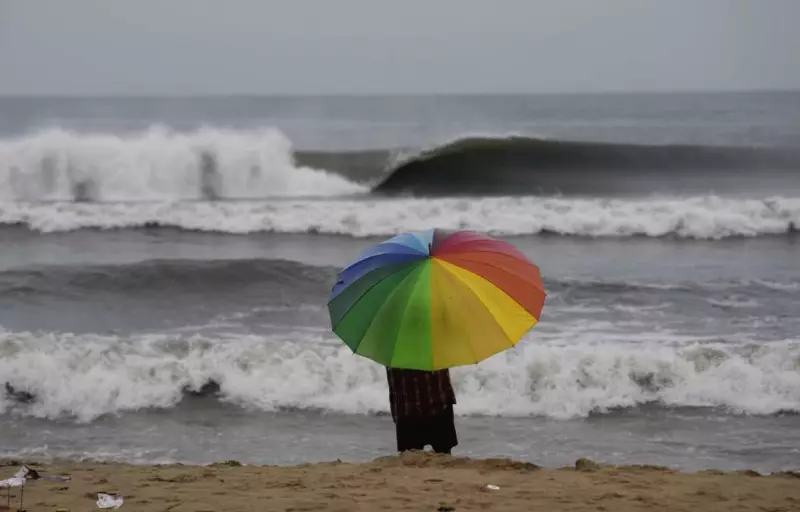 Cyclone Montha Alert: Schools and Colleges Closed in Andhra Pradesh, Tamil Nadu, Odisha - Check Holiday Dates