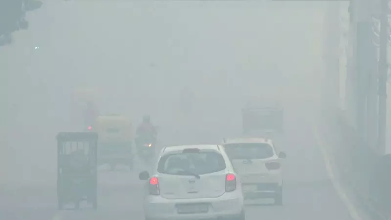 Delhi Air Emergency: 5 Essential Safety Measures as AQI Plummets to Hazardous Levels