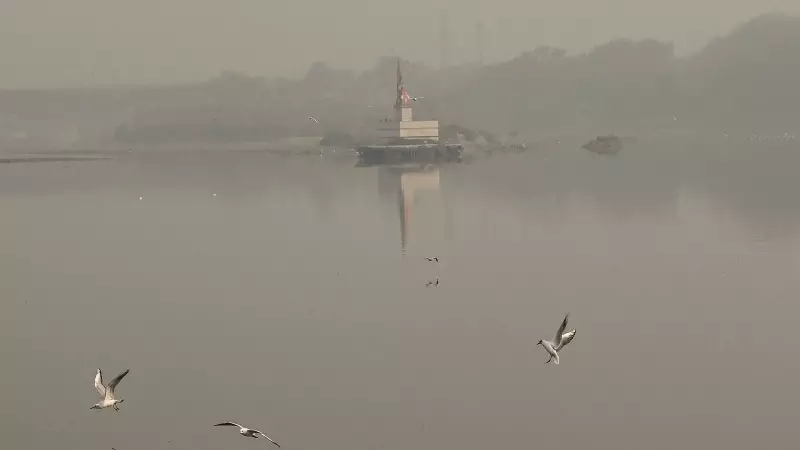 Delhi's Festive Air Turns Toxic: A Celebration Choked by Pollution