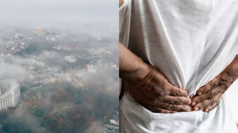 Delhi's Toxic Air: A Silent Killer for Kidney Patients - Doctors Issue Urgent Warning