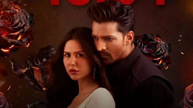 Ek Deewane Ki Deewaniyat Box Office Triumph: Harshvardhan Rane & Sonam Bajwa's Film Earns ₹38 Crore Worldwide
